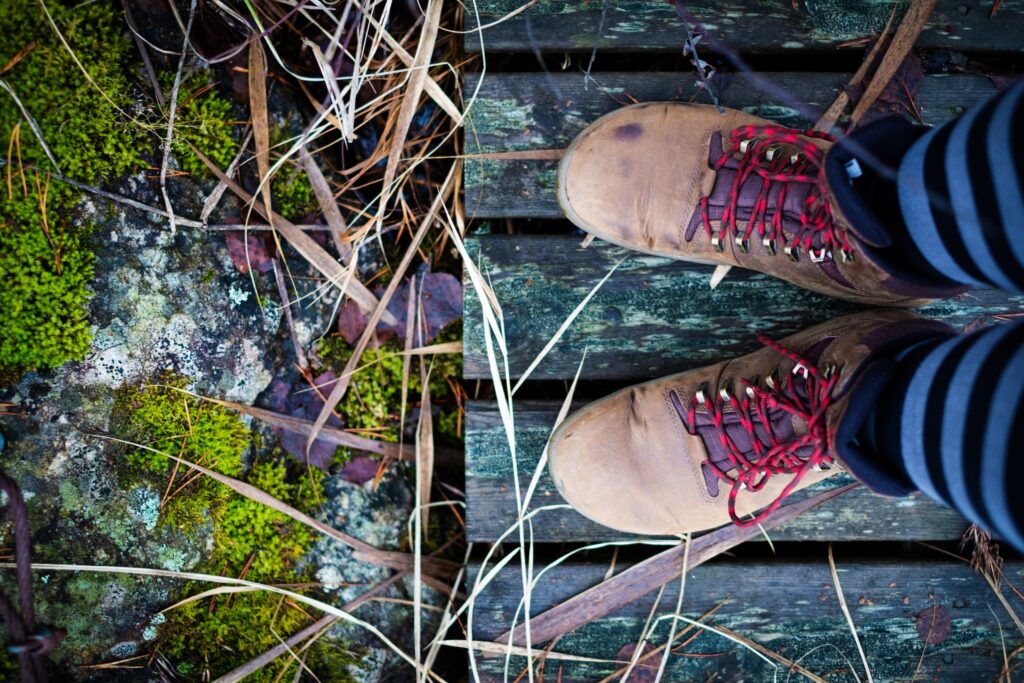 Lippukuntien uusi verkkosivuratkaisu pian tilattavissa! - Lue lisää