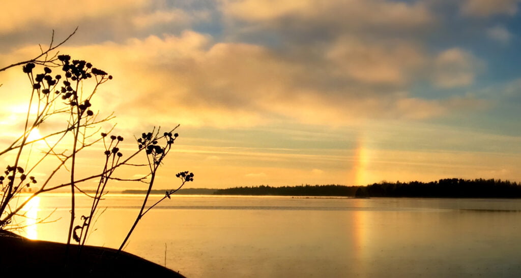 Tietoa verkkosivu&shy;ratkaisusta tallenteena - Lue lisää