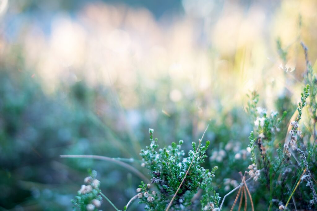 Toimivat verkkosivut osana yhdistyksen viestintää - Lue lisää